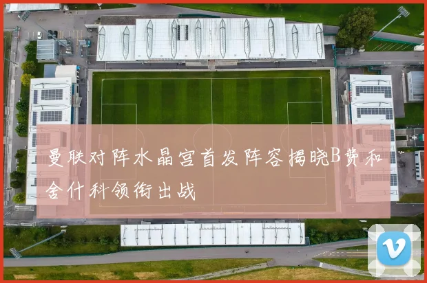 曼联对阵水晶宫首发阵容揭晓B费和舍什科领衔出战