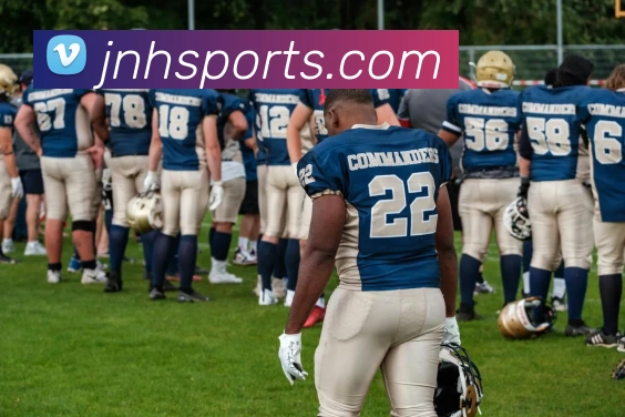 金年会平台生态图